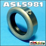 ASL5981 Diff Axle Seal Massey Ferguson 65 165 Tractor & MF 175 178 w Dry Brake